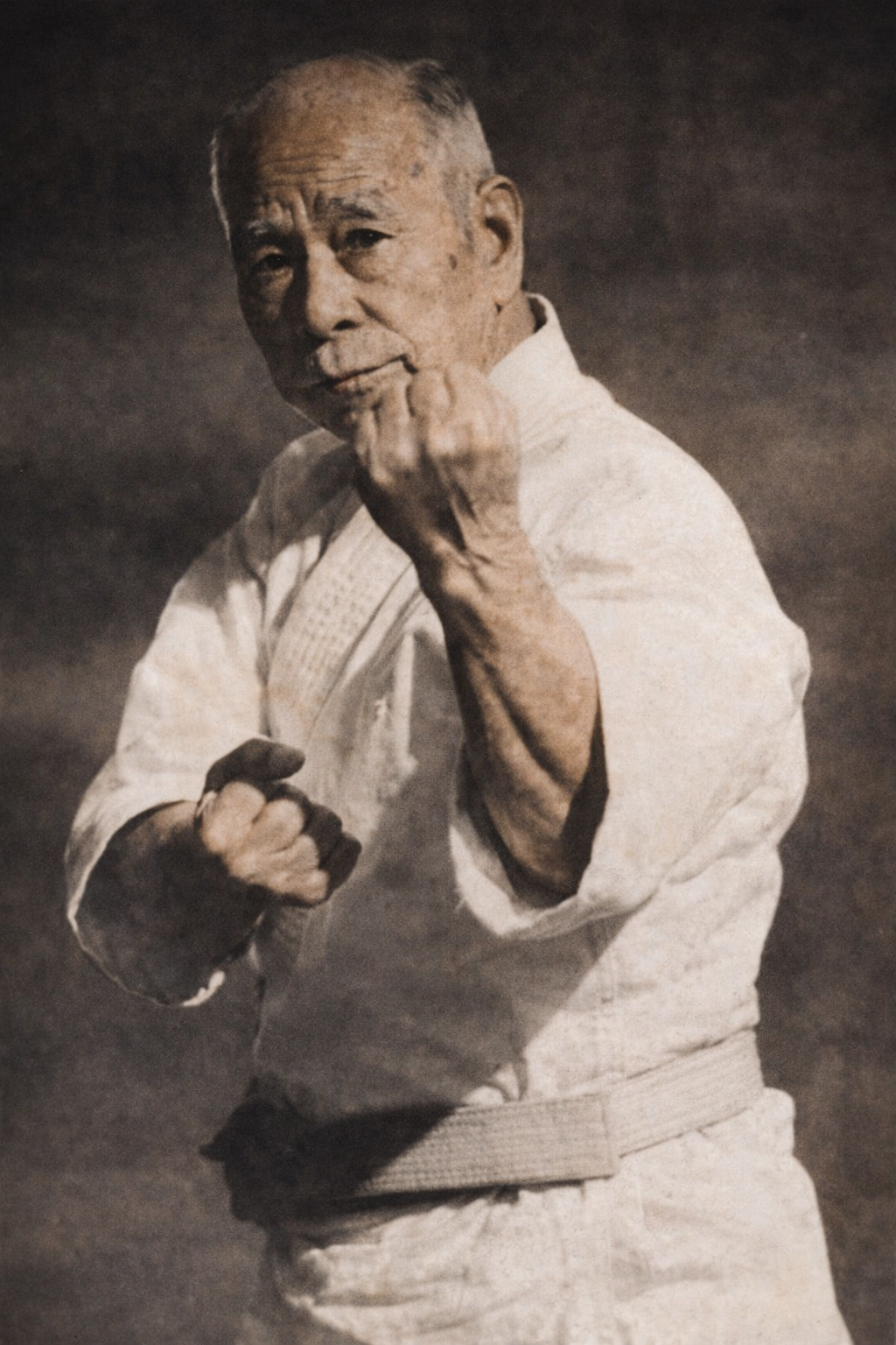 Choshin Chibana Shorin Ryu